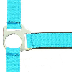 Licol Norton Fluo doublé Bleu Licol Norton Fluo doublé Bleu