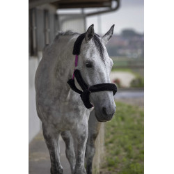 Licol Norton Full mouton synthétique Fuchsia / noir Rose