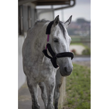 Licol Norton Full mouton synthétique Fuchsia / noir Rose