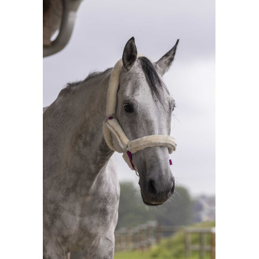 Licol Norton Full mouton synthétique Licol Norton Full mouton synthétique