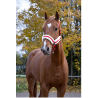Licol Norton Confort Rouge