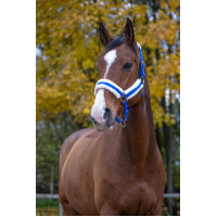 Licol Norton Confort Bleu vif