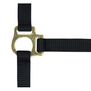 Licol nylon foal Licol nylon foal