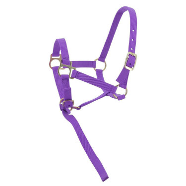 Licol nylon foal Licol nylon foal