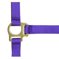 Licol nylon foal Noir Licol nylon foal Noir