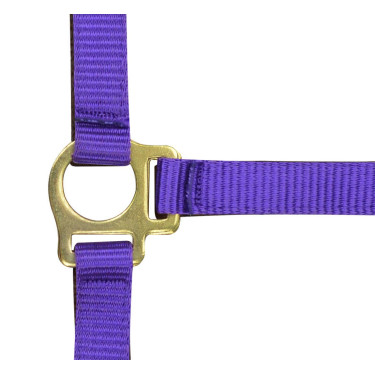 Licol nylon foal Licol nylon foal