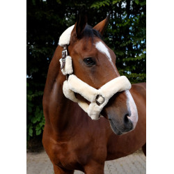 Licol Equithème Teddy Licol Equithème Teddy