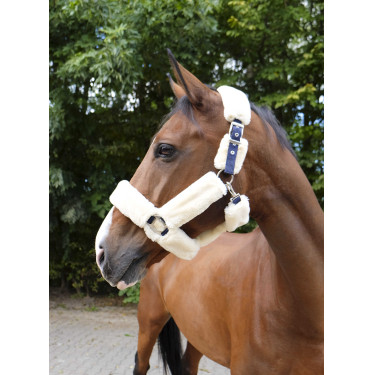 Licol Equithème Teddy Licol Equithème Teddy