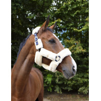 Licol Equithème Teddy Marine / écru Bleu Licol Equithème Teddy Marine / écru Bleu