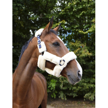 Licol Equithème Teddy Licol Equithème Teddy
