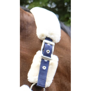 Licol Equithème Teddy Licol Equithème Teddy