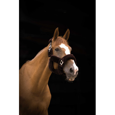 Licol Equithème Teddy Noir / marron