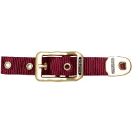 Licol Equithème Nylon Bordeaux Licol Equithème Nylon Bordeaux