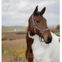 Licol Equithème Nylon Bleu marine