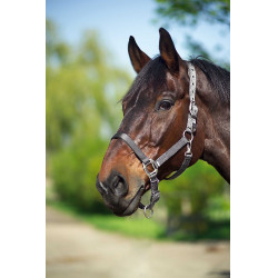 Licol Equithème Nylon Gris foncé