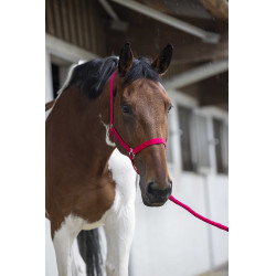 Ensemble licol et longe Club Fuchsia Rose Ensemble licol et longe Club Fuchsia Rose