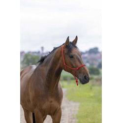 Licol éthologique corde Fin Rouge Licol éthologique corde Fin Rouge