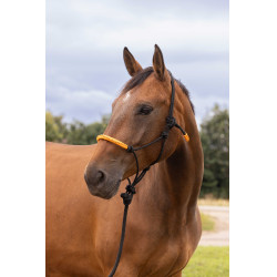 LICOL ETHOLOGIQUE + LONGE FUN COLOUR Orange néon