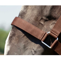 Licol Norton Cheval de Trait Marron Licol Norton Cheval de Trait Marron