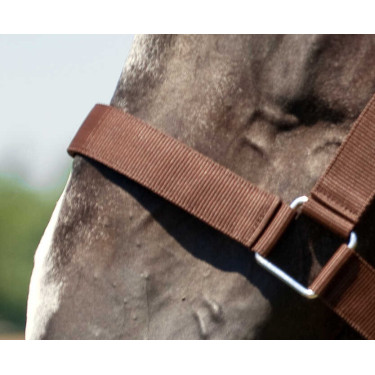 Licol Norton Cheval de Trait Licol Norton Cheval de Trait