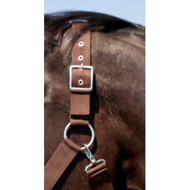 Licol Norton Cheval de Trait Licol Norton Cheval de Trait