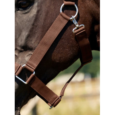 Licol Norton Cheval de Trait Licol Norton Cheval de Trait