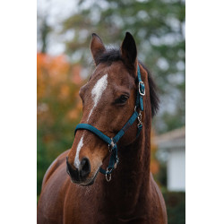 Licol Nylon Spring Equithème