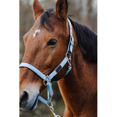 Licol Nylon Spring Equithème Licol Nylon Spring Equithème