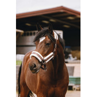 Licol nylon Equithème Fashion Marron