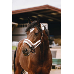 Licol nylon Equithème Fashion Marron