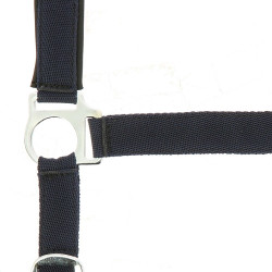 Licol Norton nylon doublé néoprène Bleu marine Licol Norton nylon doublé néoprène Bleu marine