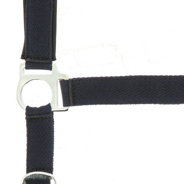 Licol Norton nylon doublé néoprène Licol Norton nylon doublé néoprène
