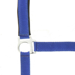 Licol Norton nylon doublé néoprène Bleu roi Licol Norton nylon doublé néoprène Bleu roi