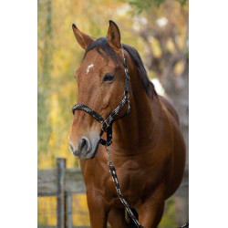 Licol + longe Equitheme Tressé Beige / chocolat / noir Licol + longe Equitheme Tressé Beige / chocolat / noir