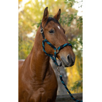 Licol + longe Equitheme Tressé Beige / chocolat / noir Licol + longe Equitheme Tressé Beige / chocolat / noir