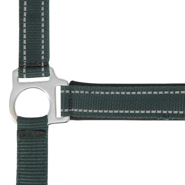 Licol Norton Reflective Licol Norton Reflective