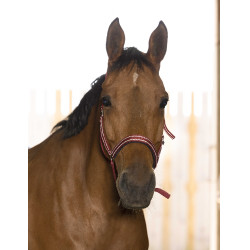 Licol Norton Reflective Bordeaux Licol Norton Reflective Bordeaux