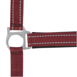 Licol Norton Reflective Bordeaux Licol Norton Reflective Bordeaux