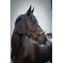 Licol éthologique Pénélope américain Noir