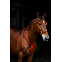 Cordelette Norton Rouge Cordelette Norton Rouge