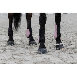 Protège-boulets Equithème Rose