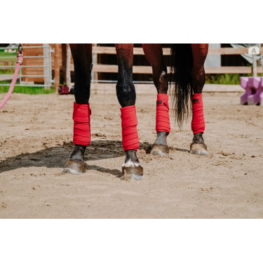 Bandes de polo Equithème par 4