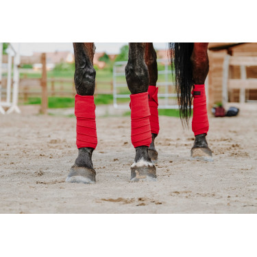 Bandes de polo Equithème par 4 Rouge