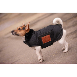 Couverture pour chien Diagonal Paddock Sports