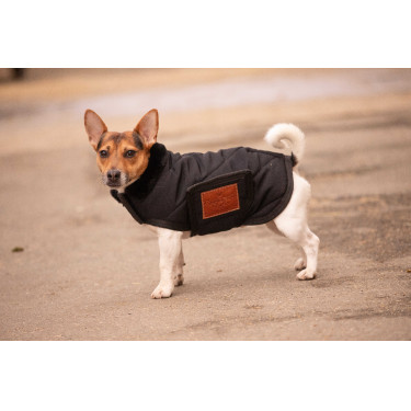 Couverture pour chien Diagonal Paddock Sports Couverture pour chien Diagonal Paddock Sports