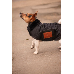 Couverture pour chien Diagonal Paddock Sports Noir Couverture pour chien Diagonal Paddock Sports Noir