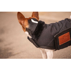 Couverture pour chien Diagonal Paddock Sports Noir Couverture pour chien Diagonal Paddock Sports Noir