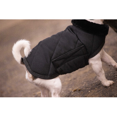 Couverture pour chien Diagonal Paddock Sports Couverture pour chien Diagonal Paddock Sports