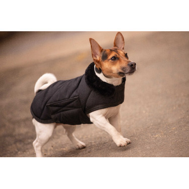 Couverture pour chien Diagonal Paddock Sports Couverture pour chien Diagonal Paddock Sports