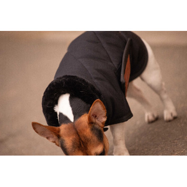 Couverture pour chien Diagonal Paddock Sports Couverture pour chien Diagonal Paddock Sports